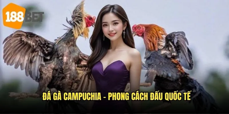 Đá gà Campuchia – Phong cách đấu quốc tế