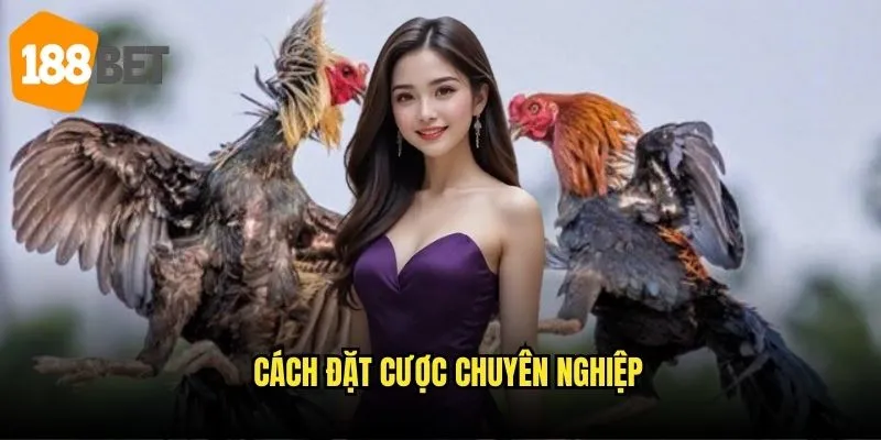 Cách đặt cược chuyên nghiệp