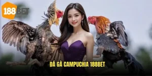 Đá gà Campuchia 188bet – Khám phá arena đỉnh cao