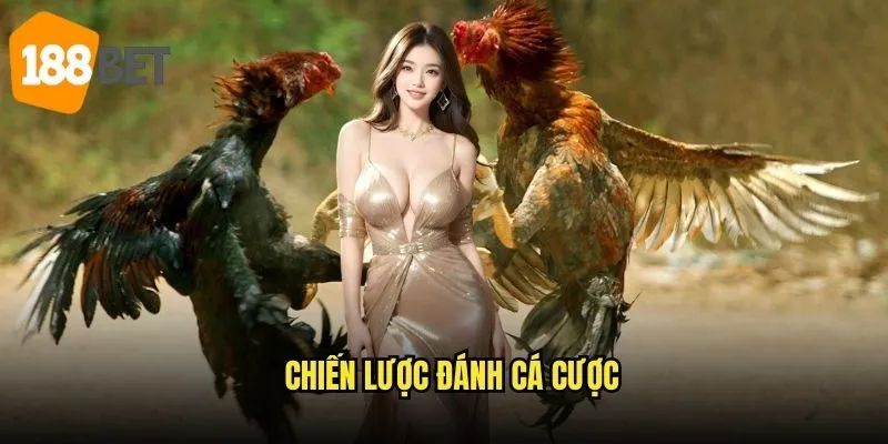 Chiến lược đánh cá cược
