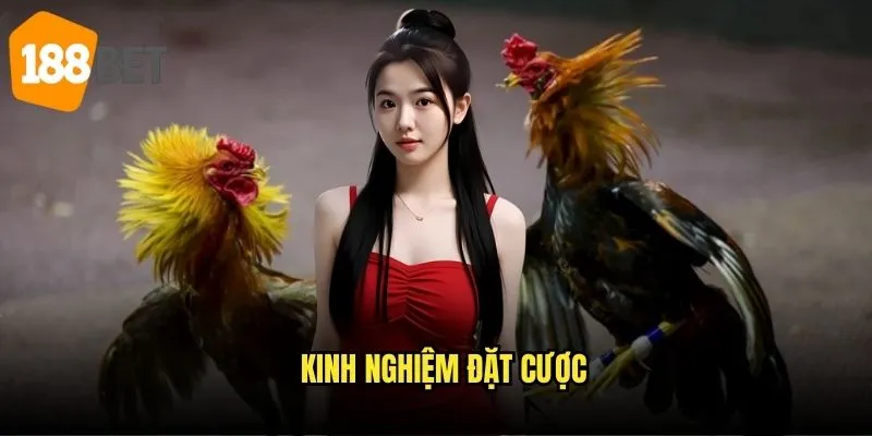 Kinh nghiệm đặt cược