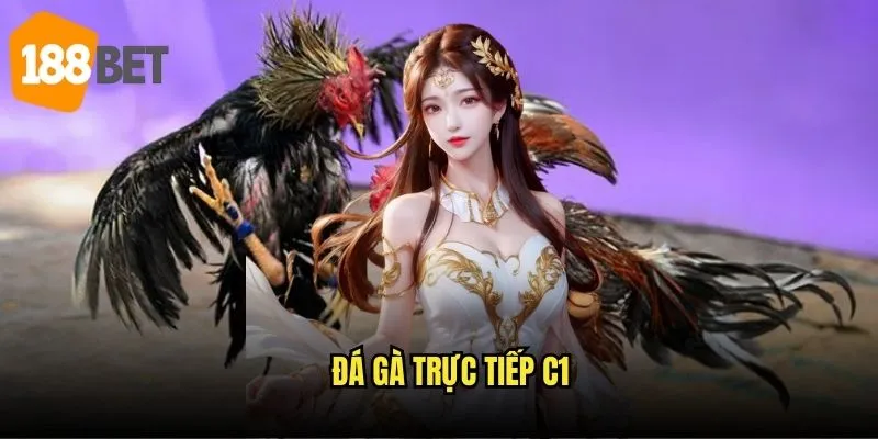 Đá gà trực tiếp C1 188bet – Kinh nghiệm cược