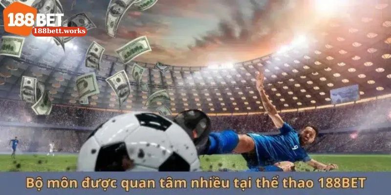 Các chú ý khi tham gia cá cược